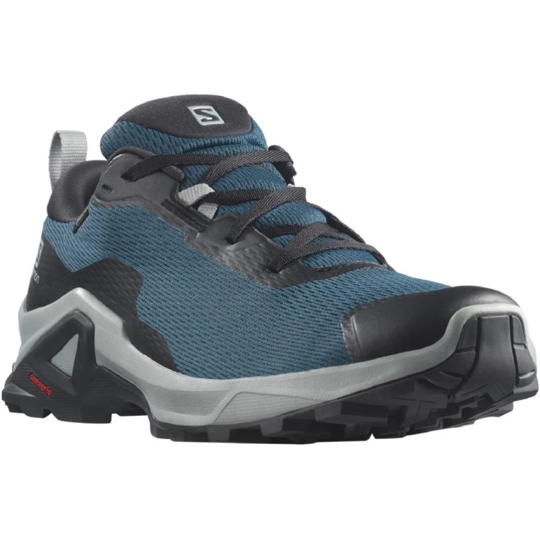 Salomon X Reveal 2 GTX Men's Hiking Shoes Blue | CA 93T85